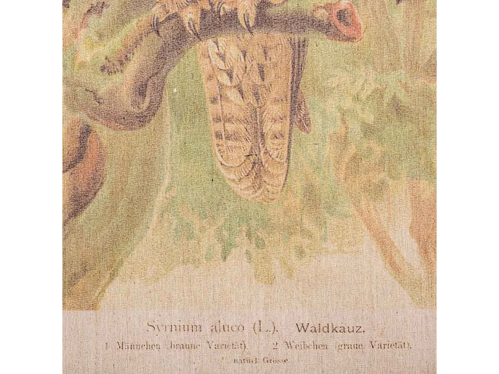 Tela in tessuto pergamena stampata 65x95x2,5h