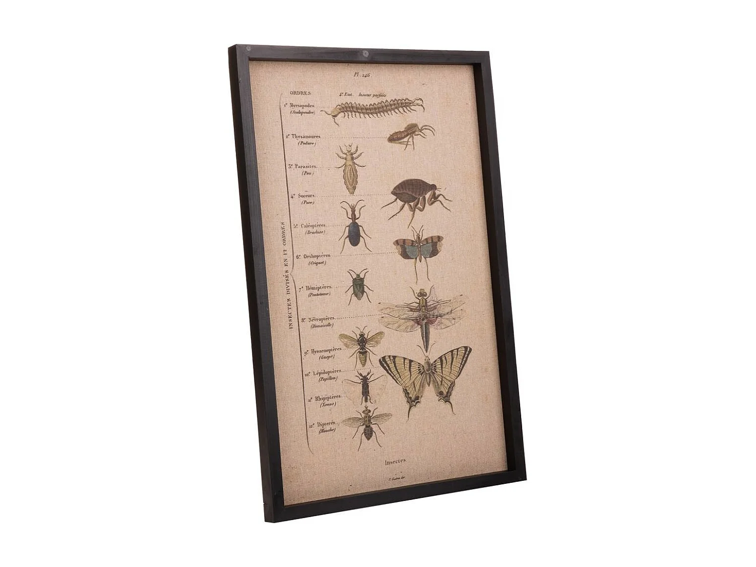 Cuadro madera y tela 40x60x2,5