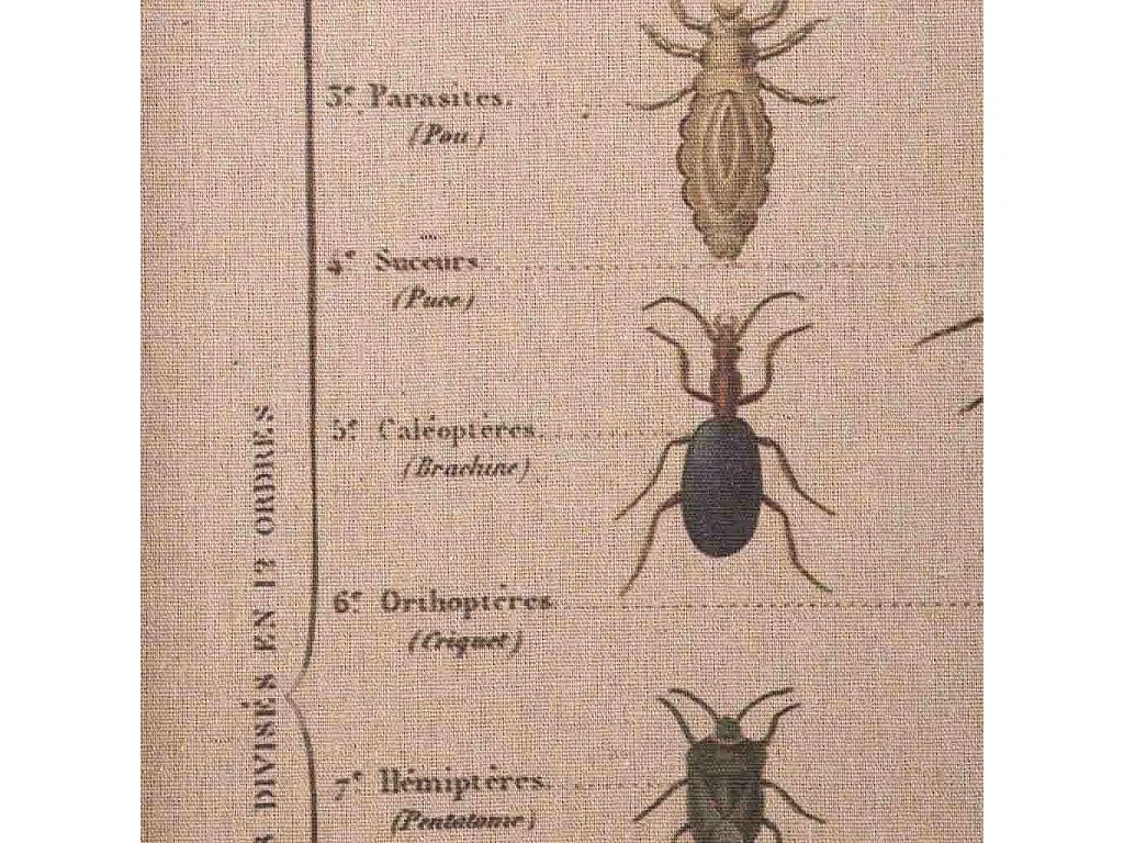 Cuadro madera y tela 40x60x2,5