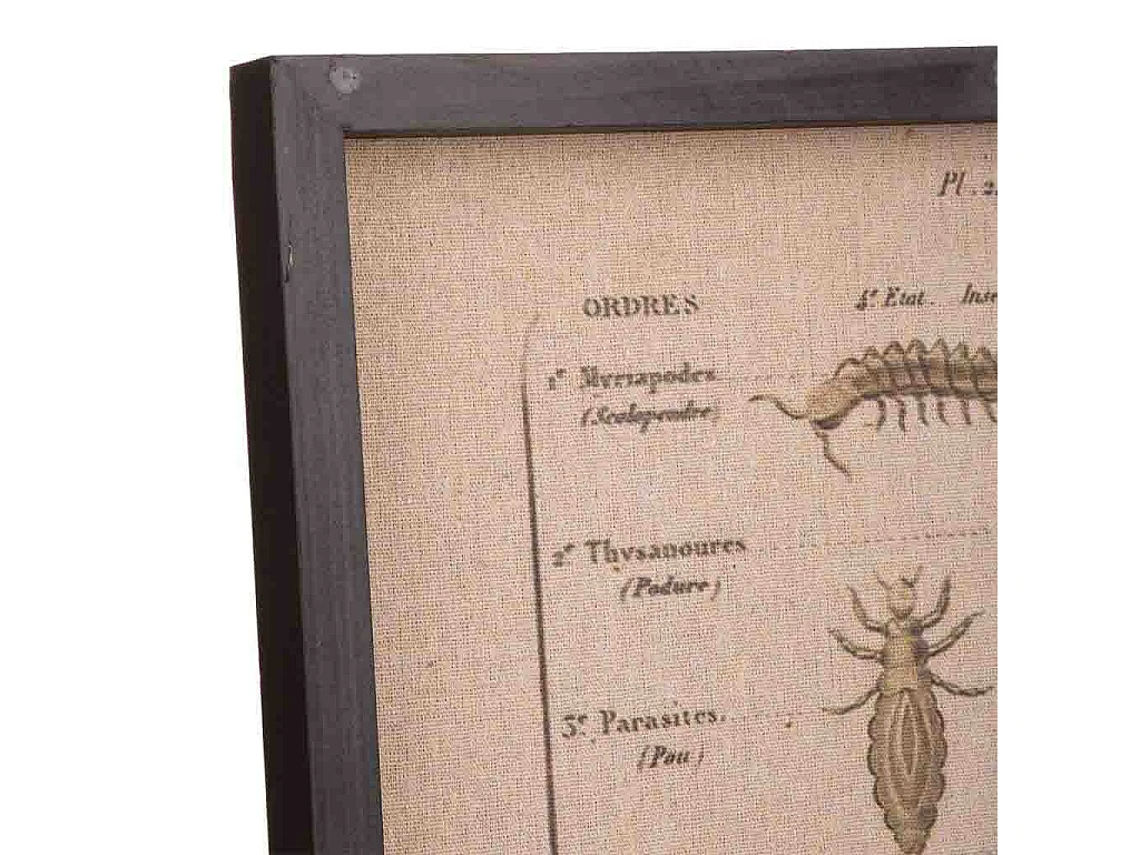 Cuadro madera y tela 40x60x2,5