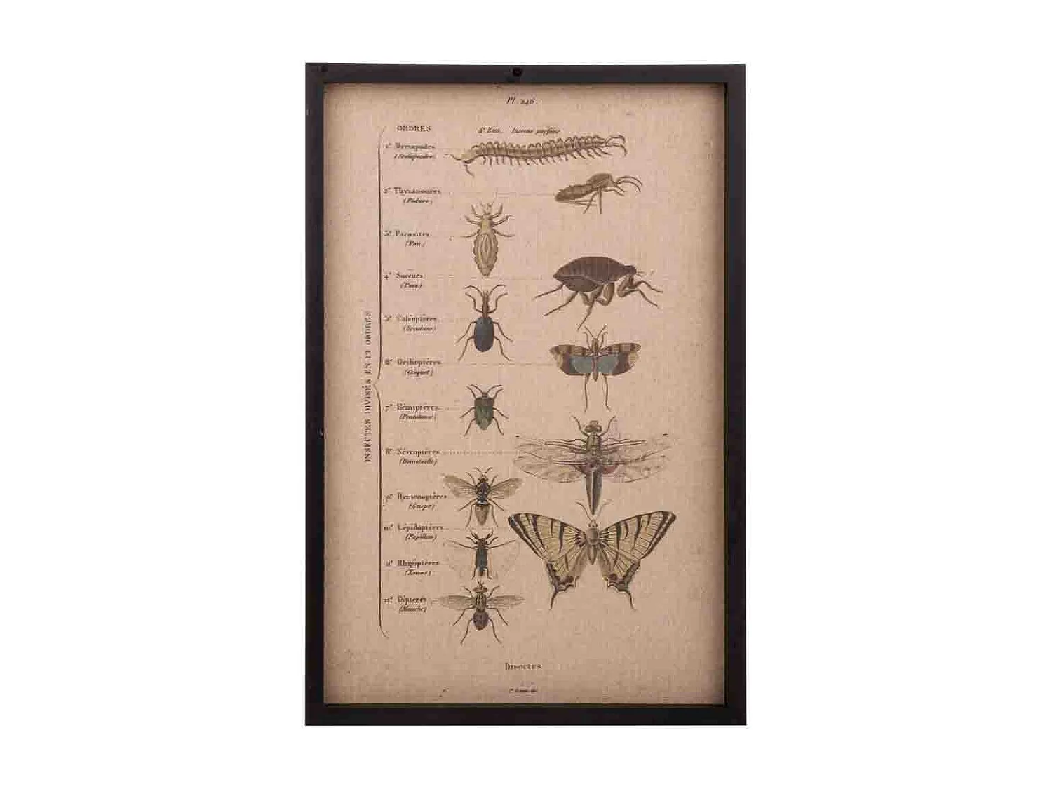 Cuadro madera y tela 40x60x2,5