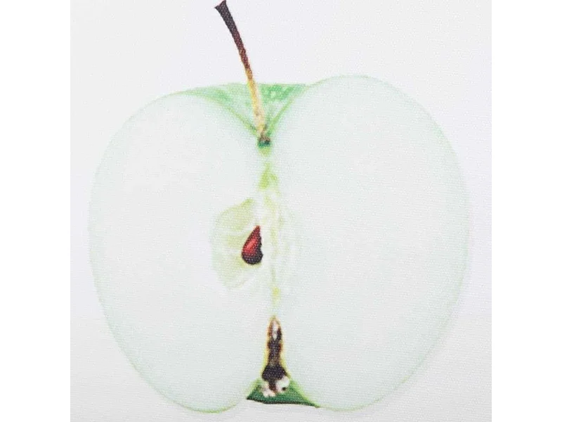 Pintura em tela impressa com moldura 30x40x2,5,