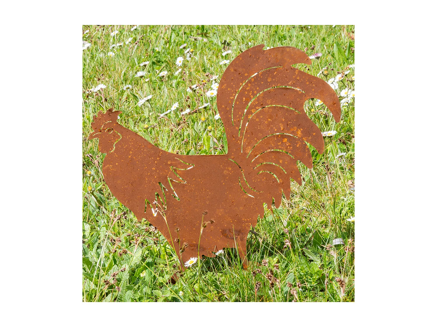 Décors de jardin en métal poule + coq (lot de 2)