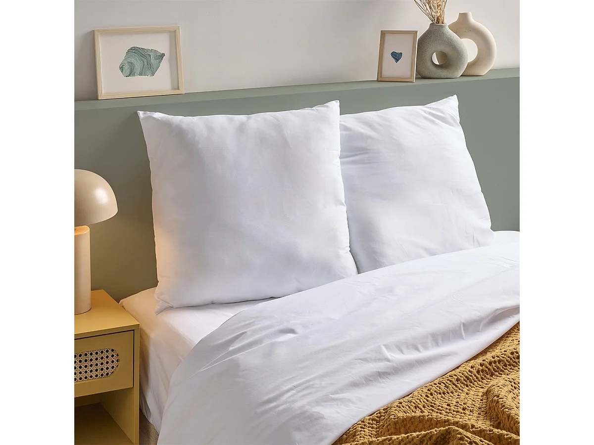 Lot de 2 Oreillers 60x60cm moelleux Anti-transpiration Topcool