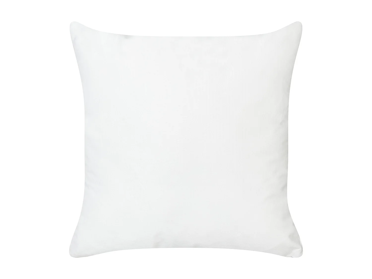 Lot de 2 coussins décoratifs MALVA Velours 45 x 45 cm Rose Motif floral