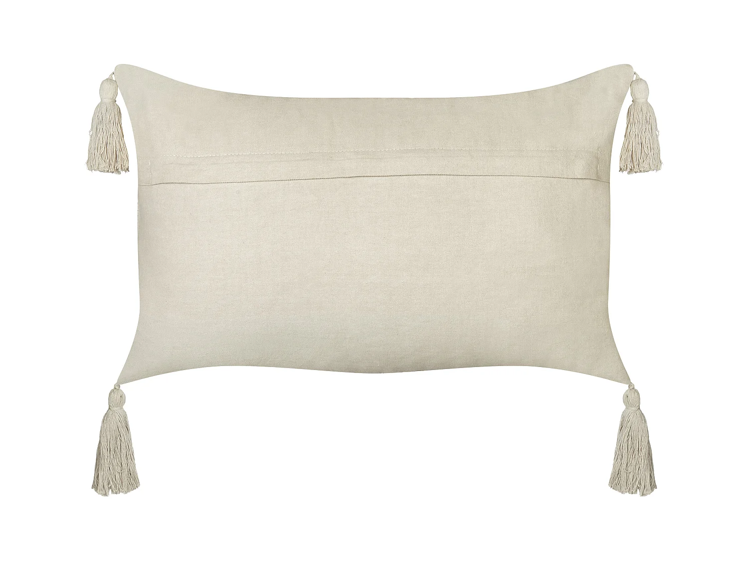 Lot de 2 coussins décoratifs CAESIA Coton 30 x 50 cm Beige clair Unicolore