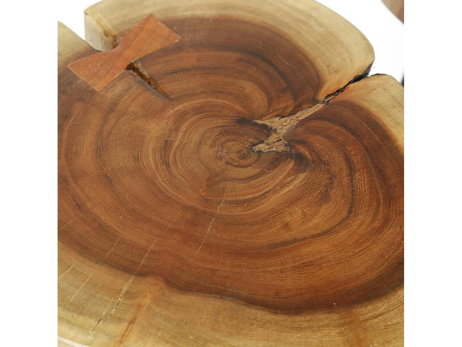 Table d'appoint tronc d'arbre acacia CANADA