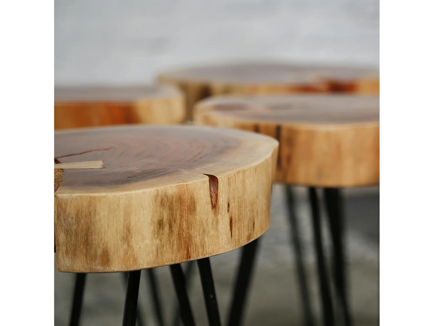 Table d'appoint tronc d'arbre acacia CANADA