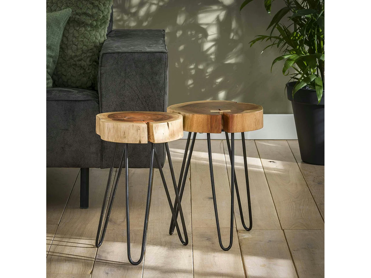 Table d'appoint tronc d'arbre acacia CANADA