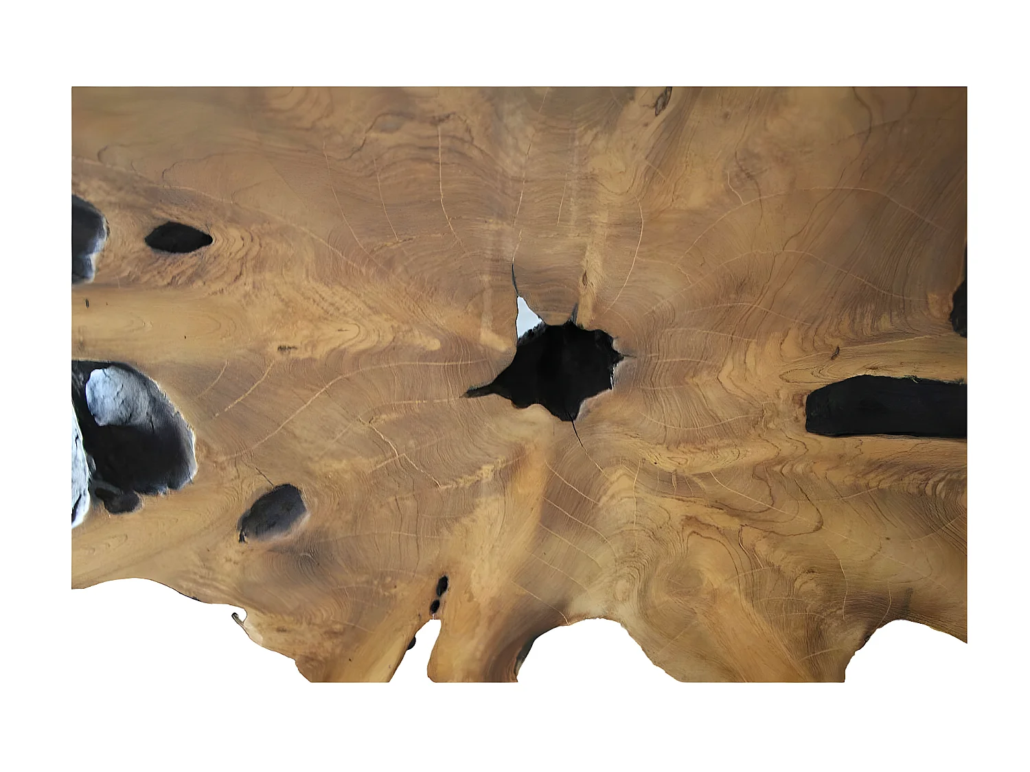 Table basse racine de teck contour bois noir ARIZONA