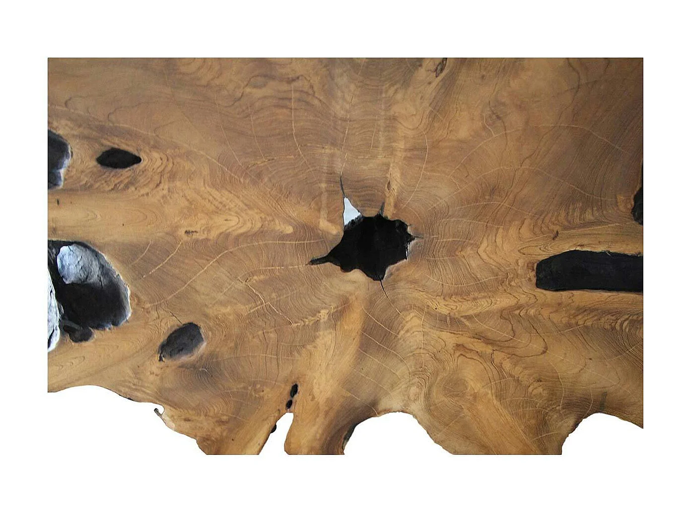 Table basse racine de teck contour bois noir ARIZONA