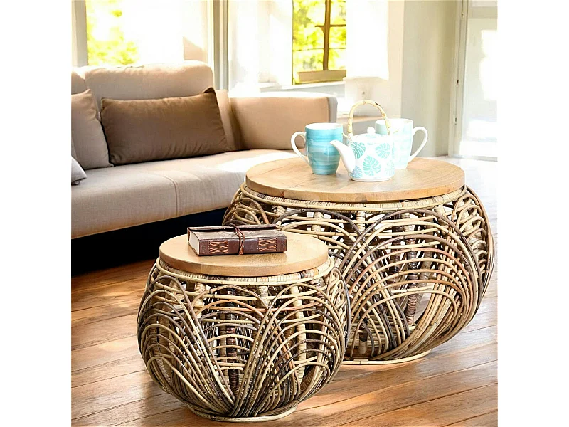 Table basse ronde en rotin (lot de 2)