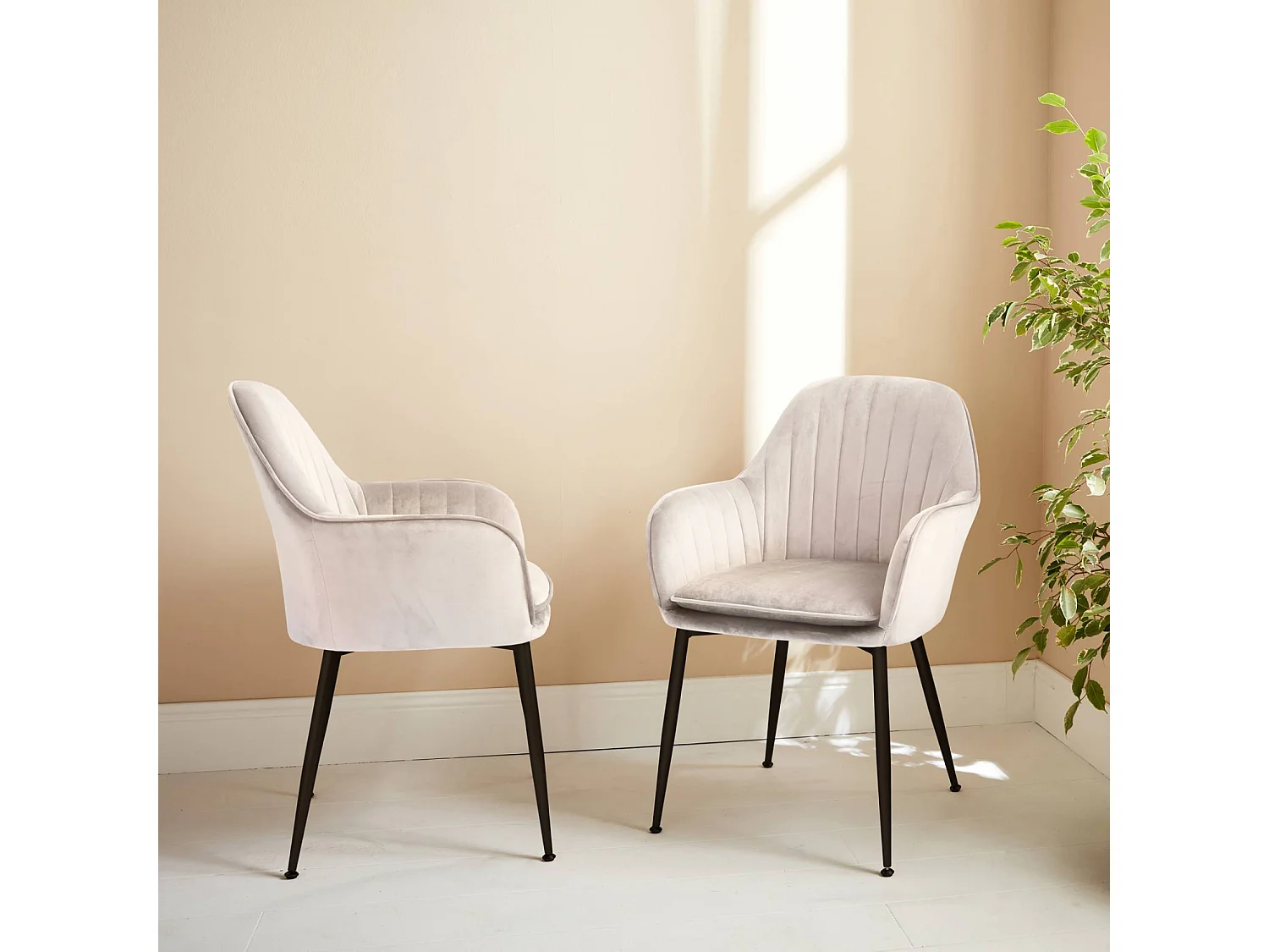 Set 2 poltrone in velluto con gambe in metallo, bianco sporco