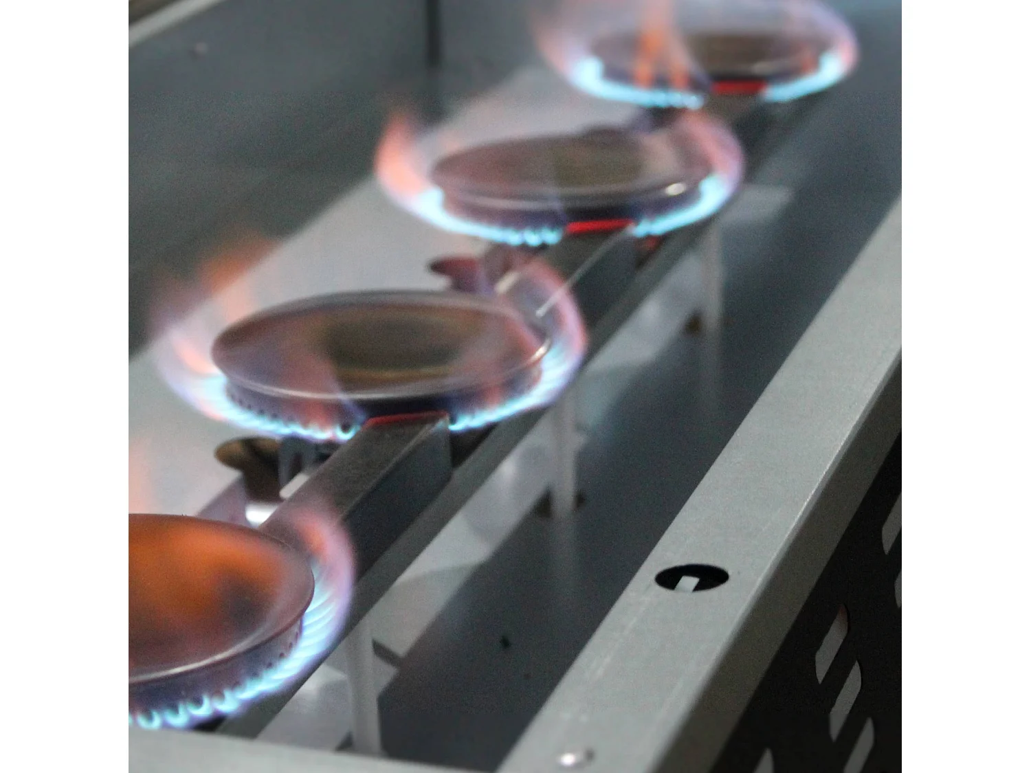 Griglia a gas a 4 fuochi in acciaio inox 10kw, nero