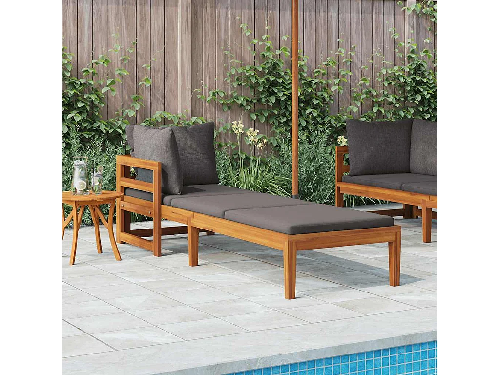 Chaise longue avec 1 accoudoir Gris foncé Bois d'acacia solide