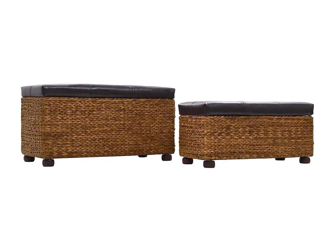 Ensemble de banc lot de 2 Jacinthe d'eau Marron