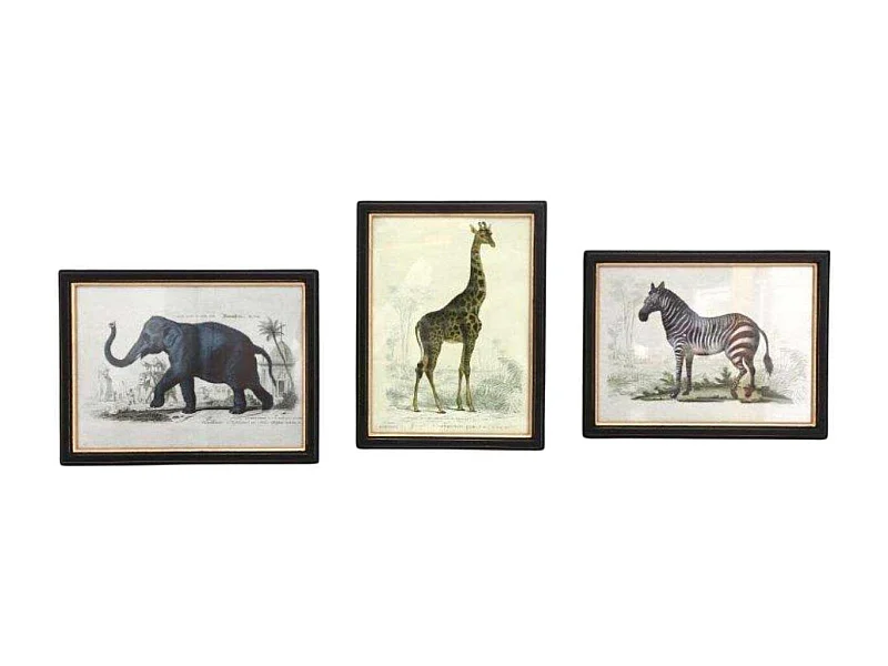 Assortiment de 3 cadres Safari