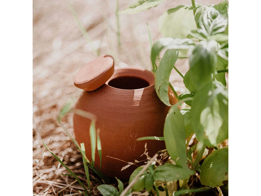 Ollas à planter en argile Medium