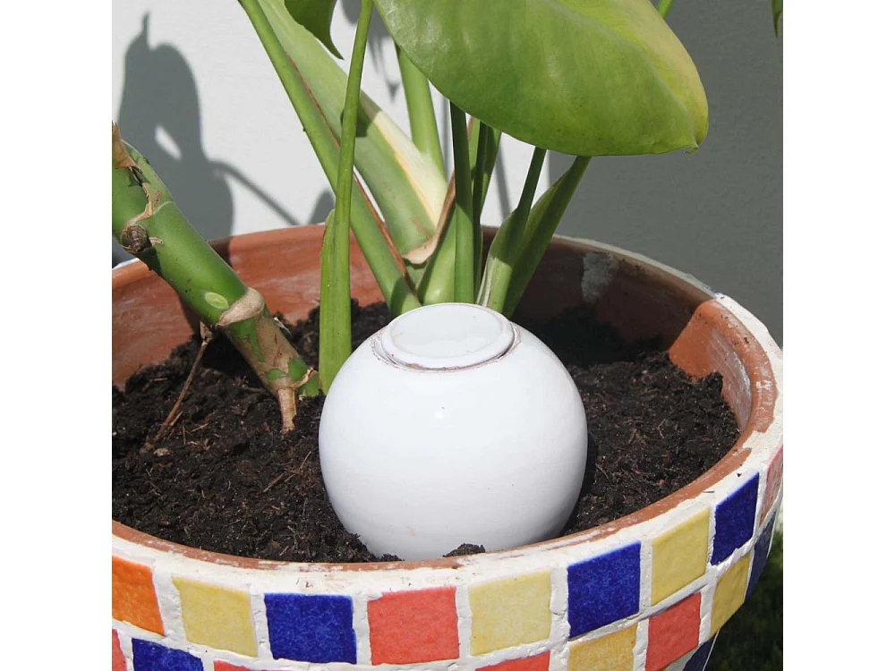 Ollas à planter en argile Medium