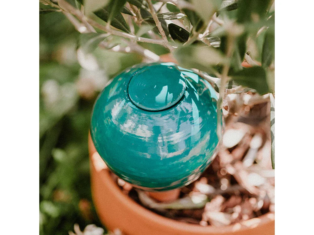 Ollas à planter en argile Medium