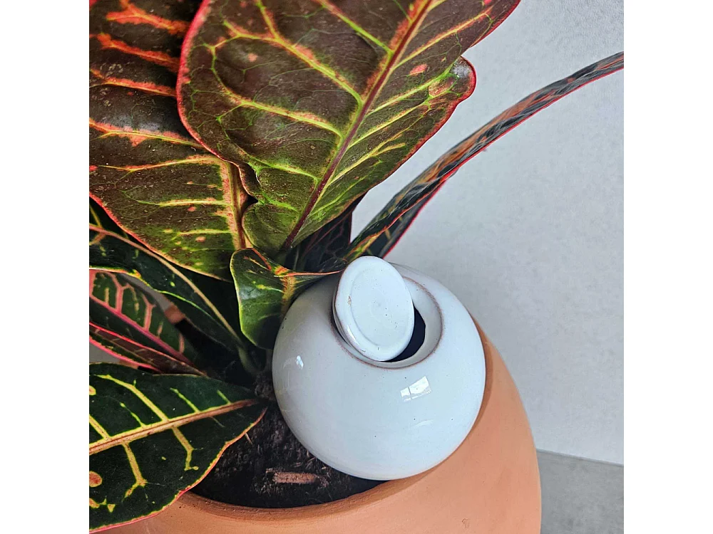 Mini ollas à planter en argile