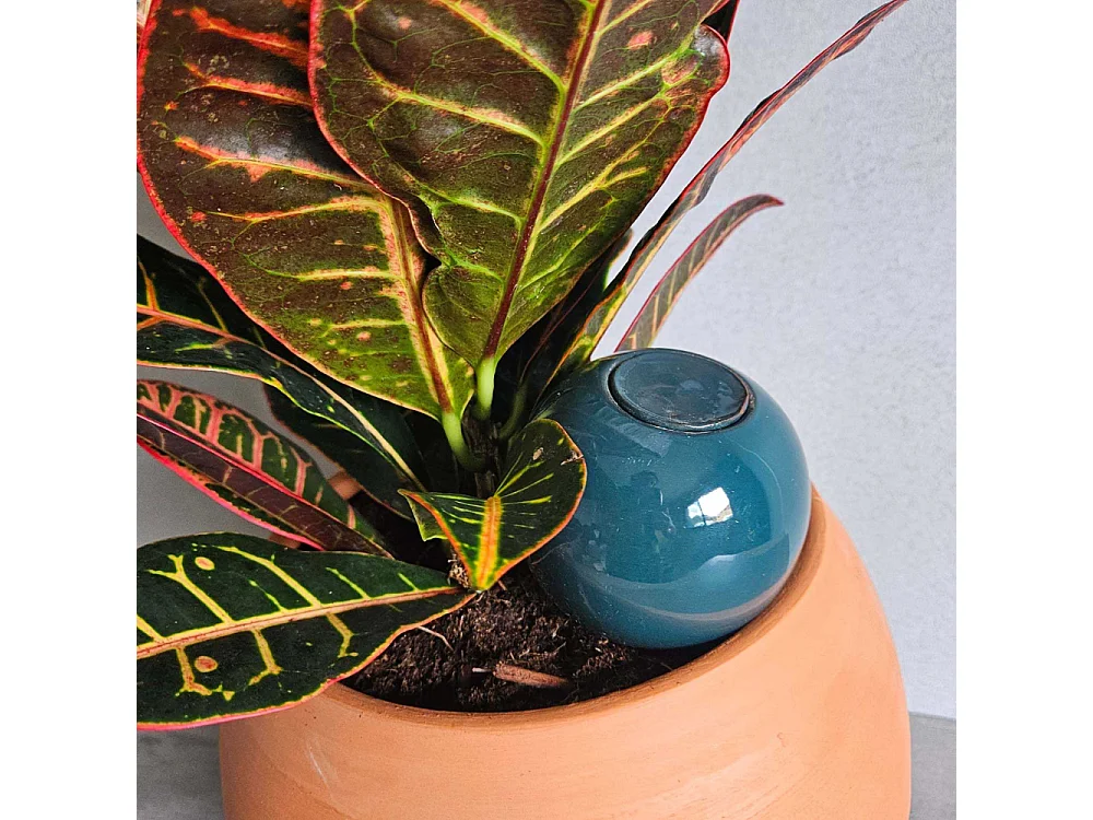 Mini ollas à planter en argile