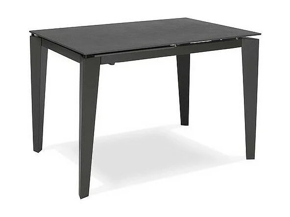 Table extensible de 120cm à 170cm plateau moderne en céramique sur verre trempé gris graphite