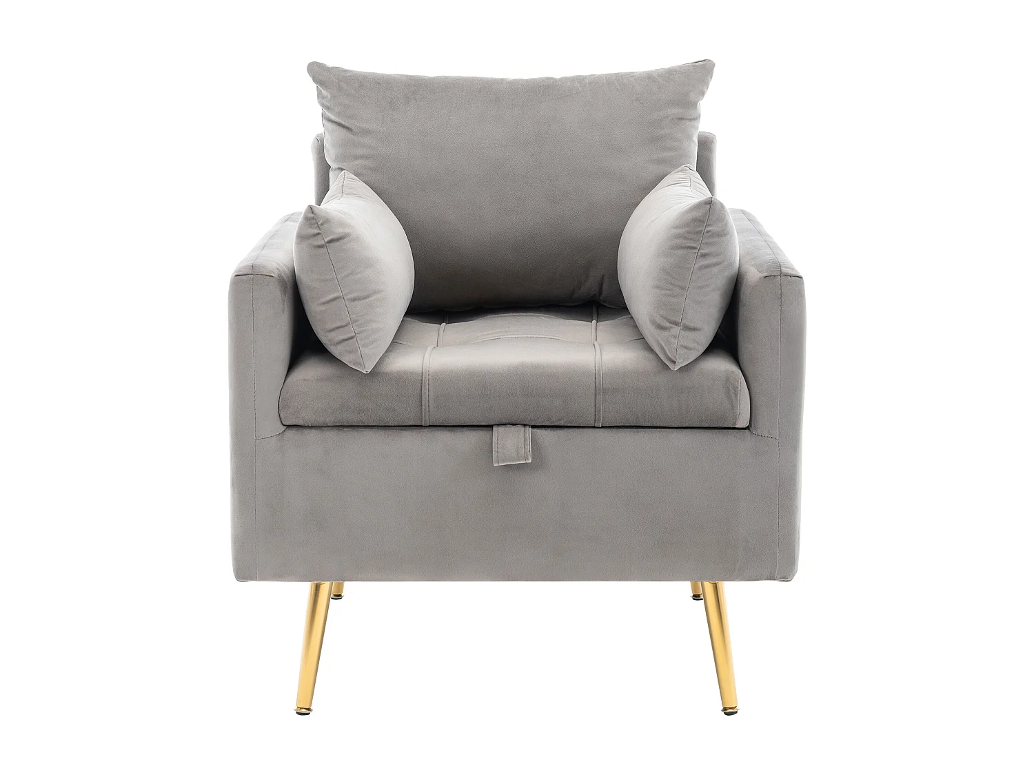 Fauteuil Canapé Chaise avec espace de rangement pieds en métal doré en velours moderne gris