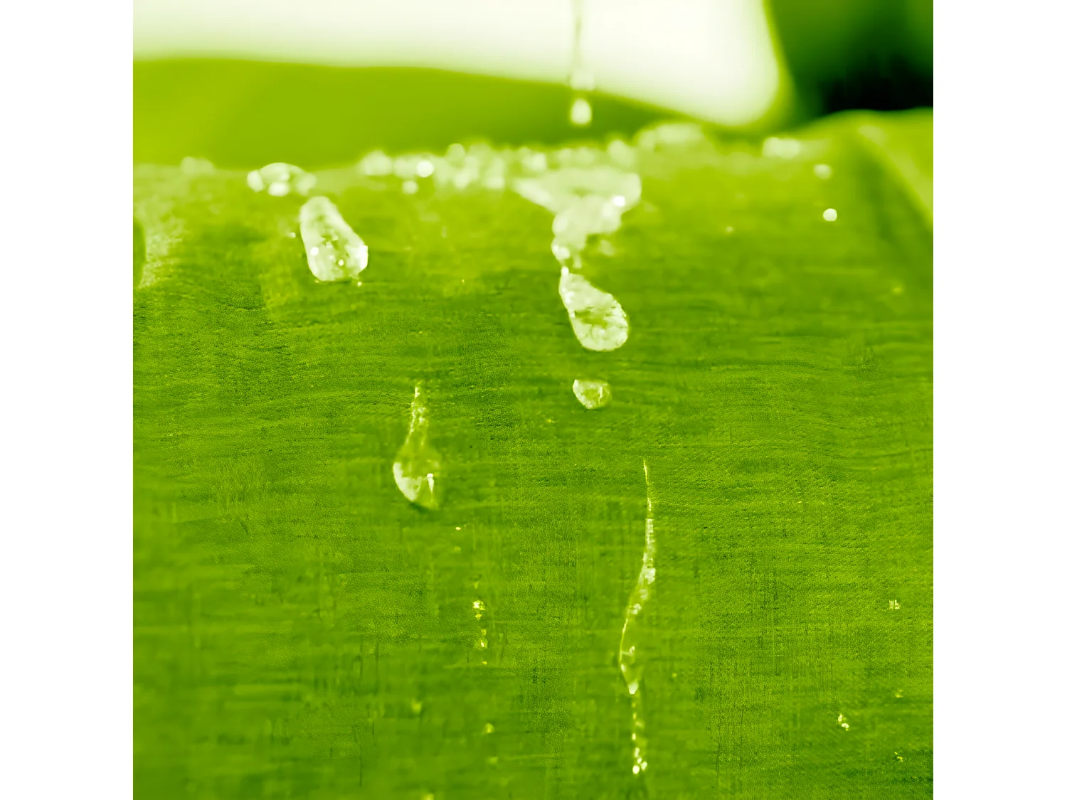 Coussins Palette lot x2 en polyester 120x80cm/120x40cm Vert