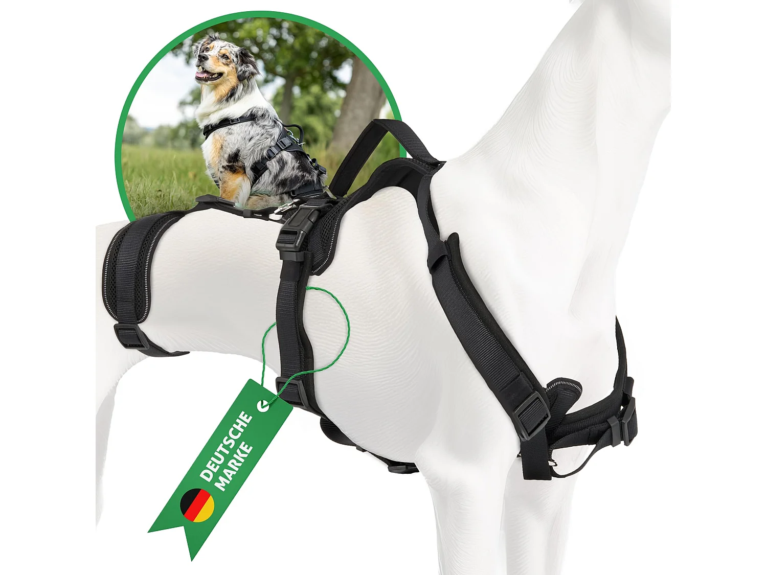 Sicherheitsgeschirr Hund (Schwarz, L)