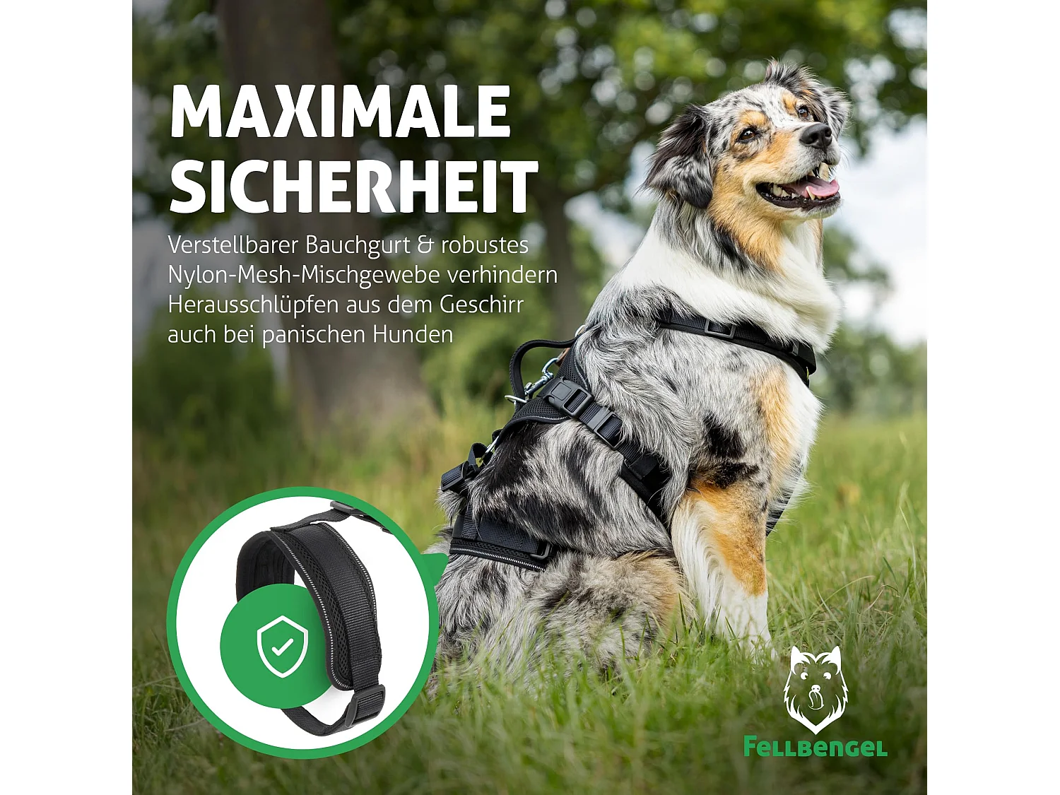 Sicherheitsgeschirr Hund (Schwarz, L)