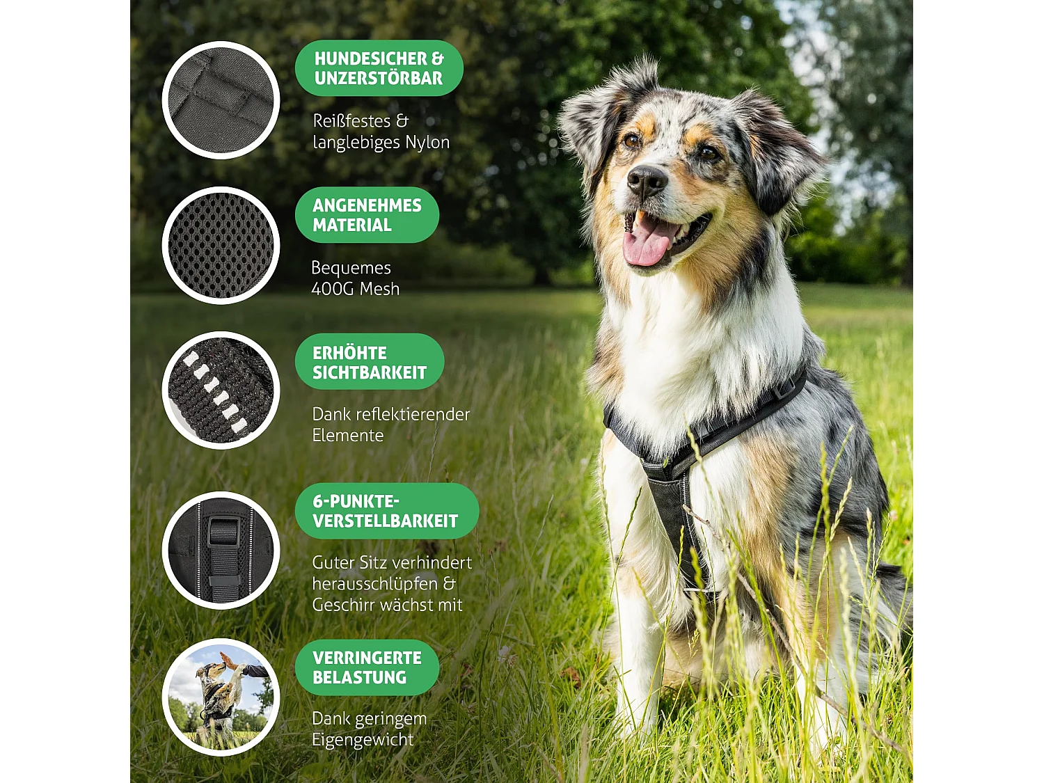 Sicherheitsgeschirr Hund (Schwarz, L)