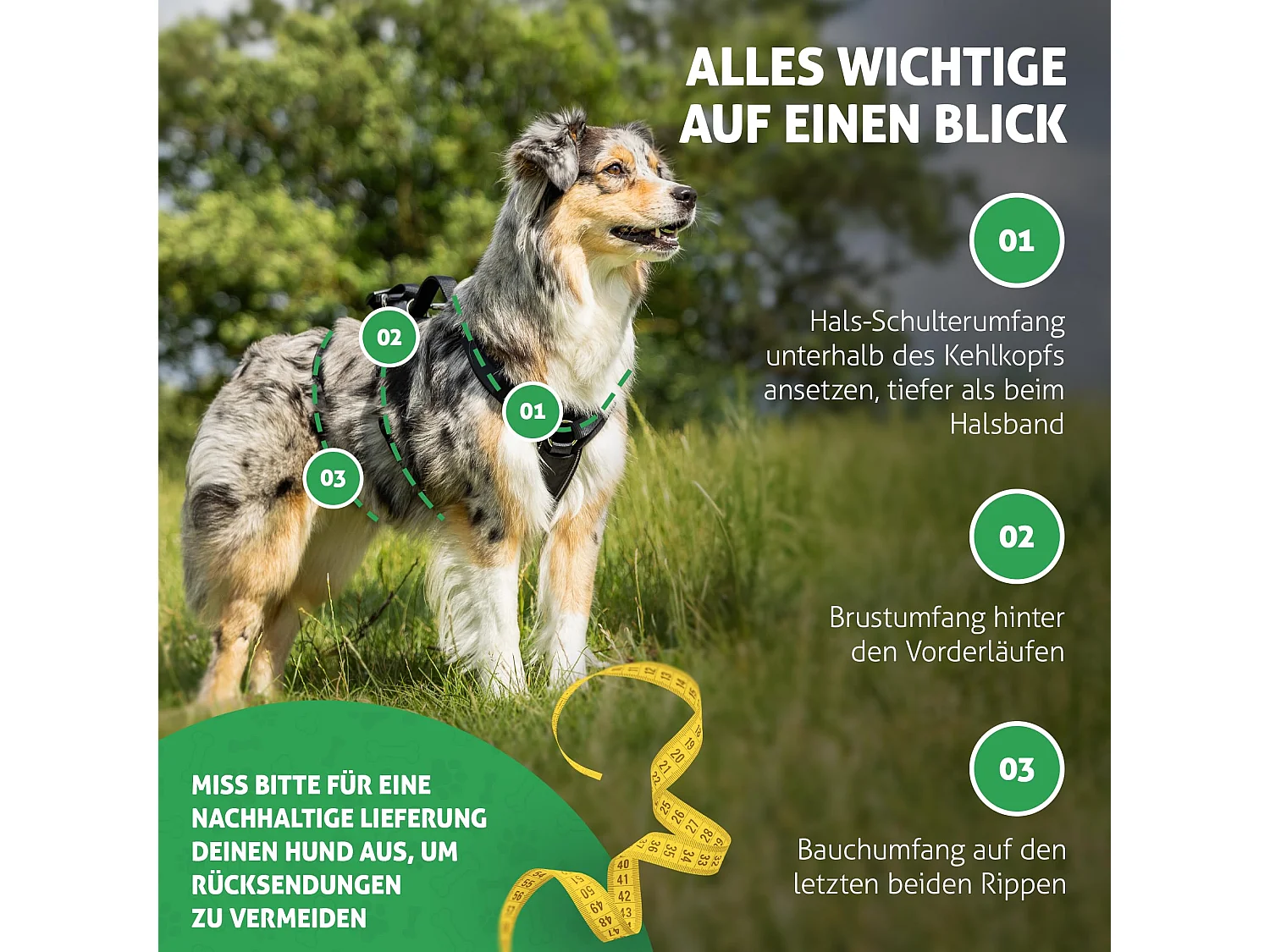 Sicherheitsgeschirr Hund (Schwarz, L)