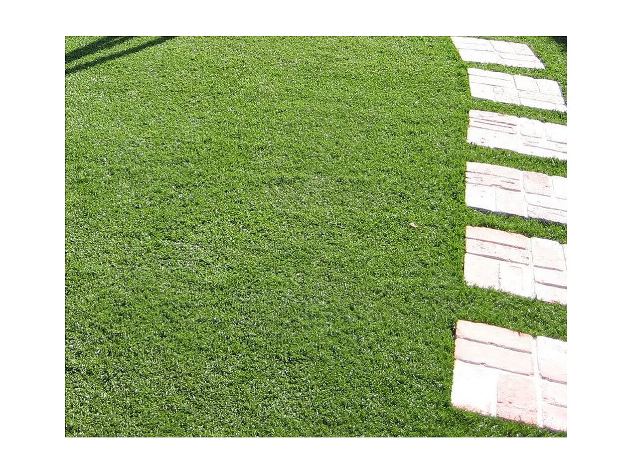 Tapis de faux gazon artificiel, pelouse synthétique, 30 MM, 1x10 MT