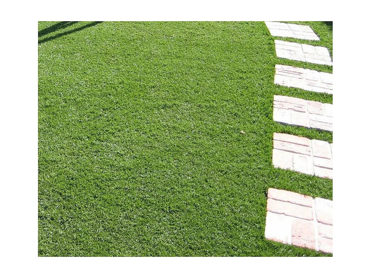 Tapis de faux gazon artificiel, pelouse synthétique, 30 MM, 2x10 MT