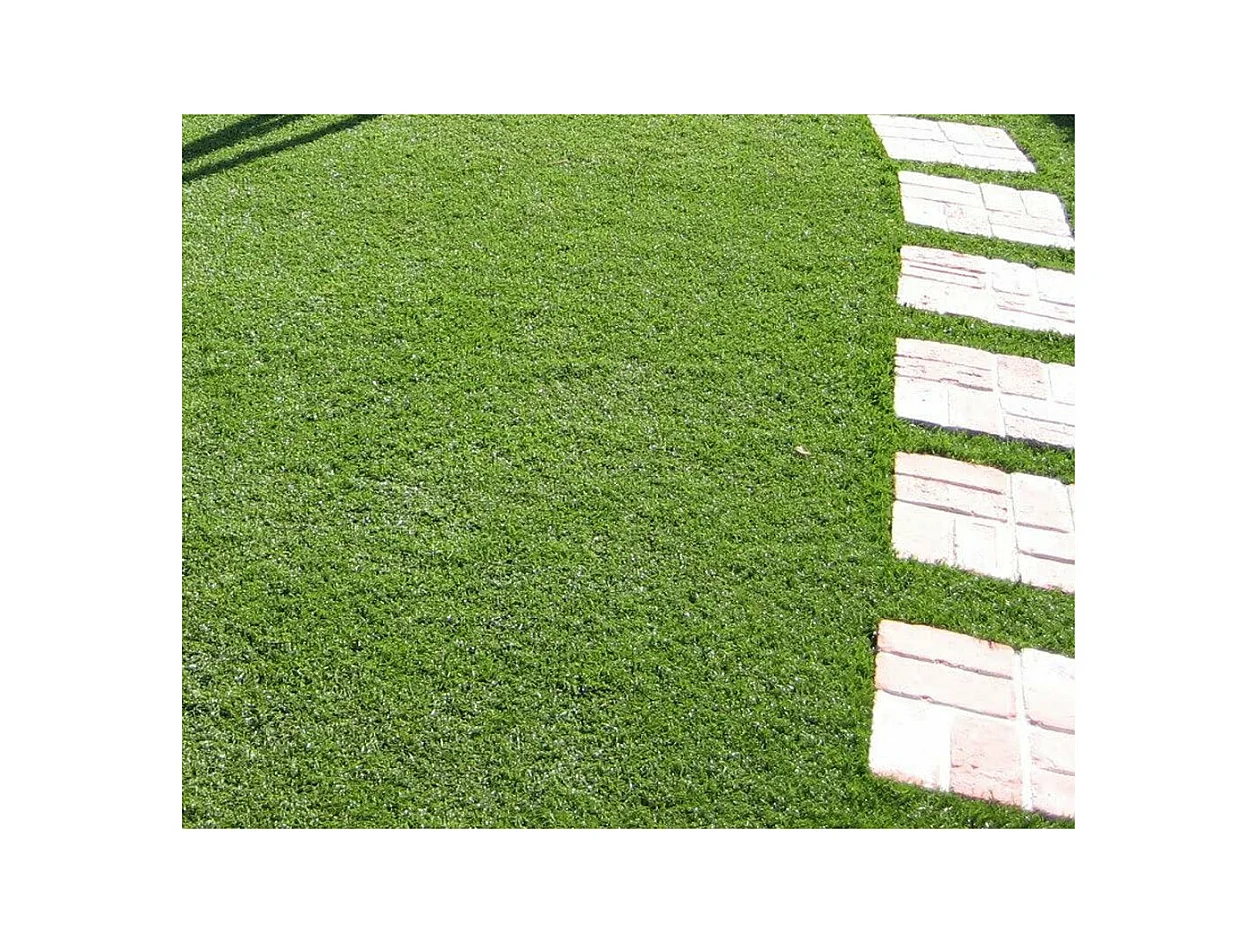 Kunstrasen-Kunstrasenteppich 30 mm 2 x 10 MT