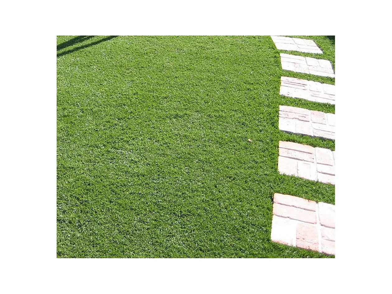 Prato sintetico tappeto erba finto artificiale 25 MM 1X5 MT 48706