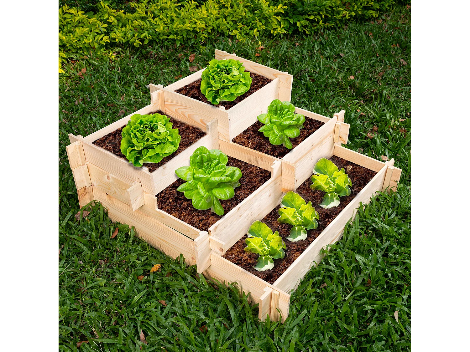 Carré potager 5 cases en bois