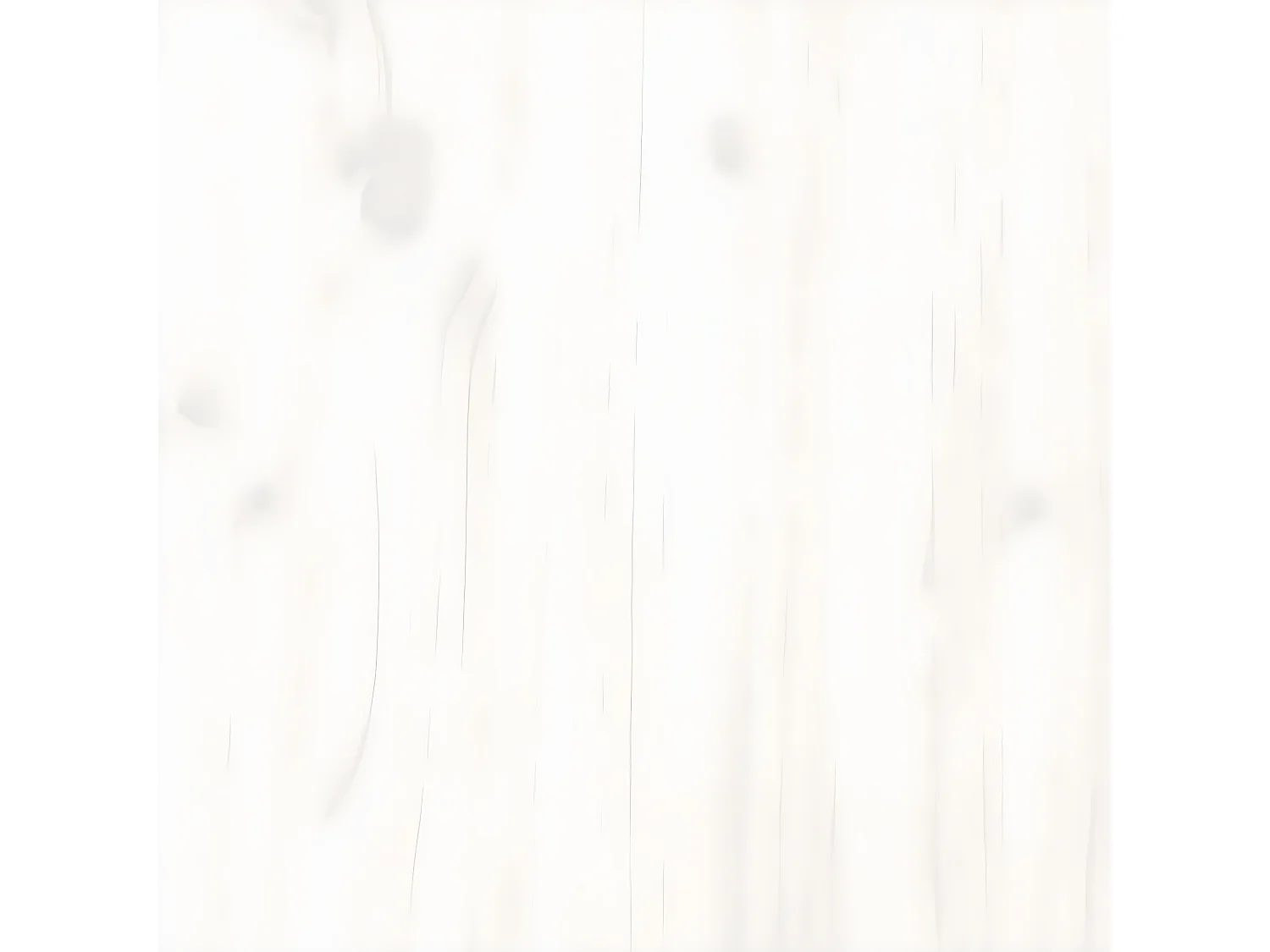 Salon de jardin avec coussins 6 pcs blanc bois de pin massif