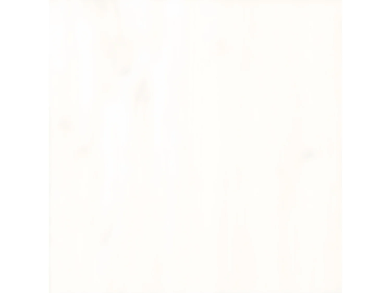 Ensemble de bar de jardin 5 pcs blanc bois massif de pin