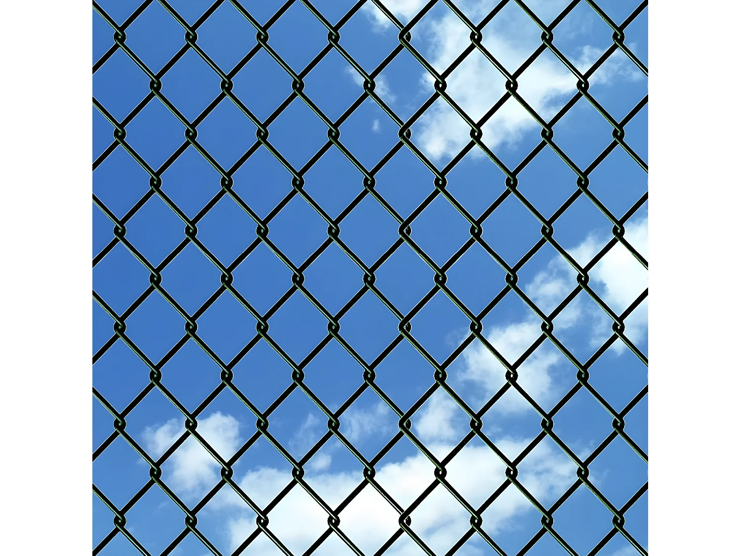 Clôture à mailles losangées Acier 0,8x15 m Vert