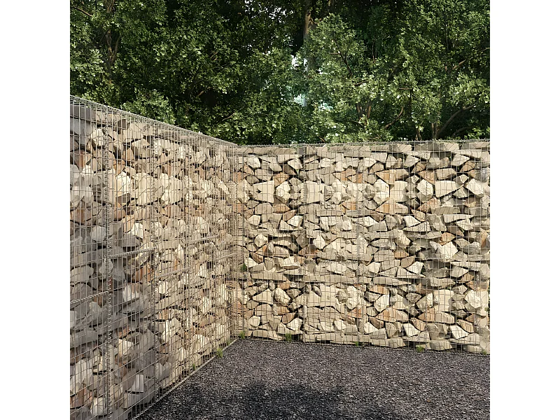 Mur en gabion avec couvercle Acier galvanisé 300 x 50x200
