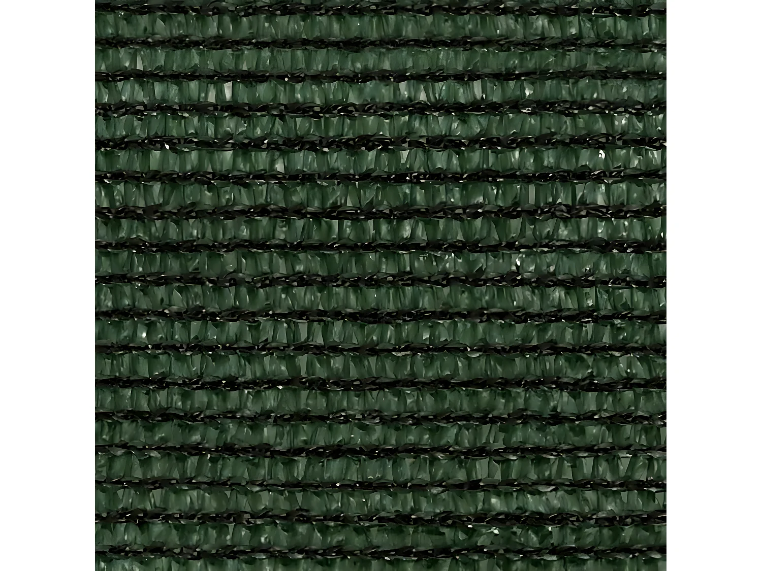Voile d'ombrage 160 g-m² Vert foncé 4x4 m PEHD