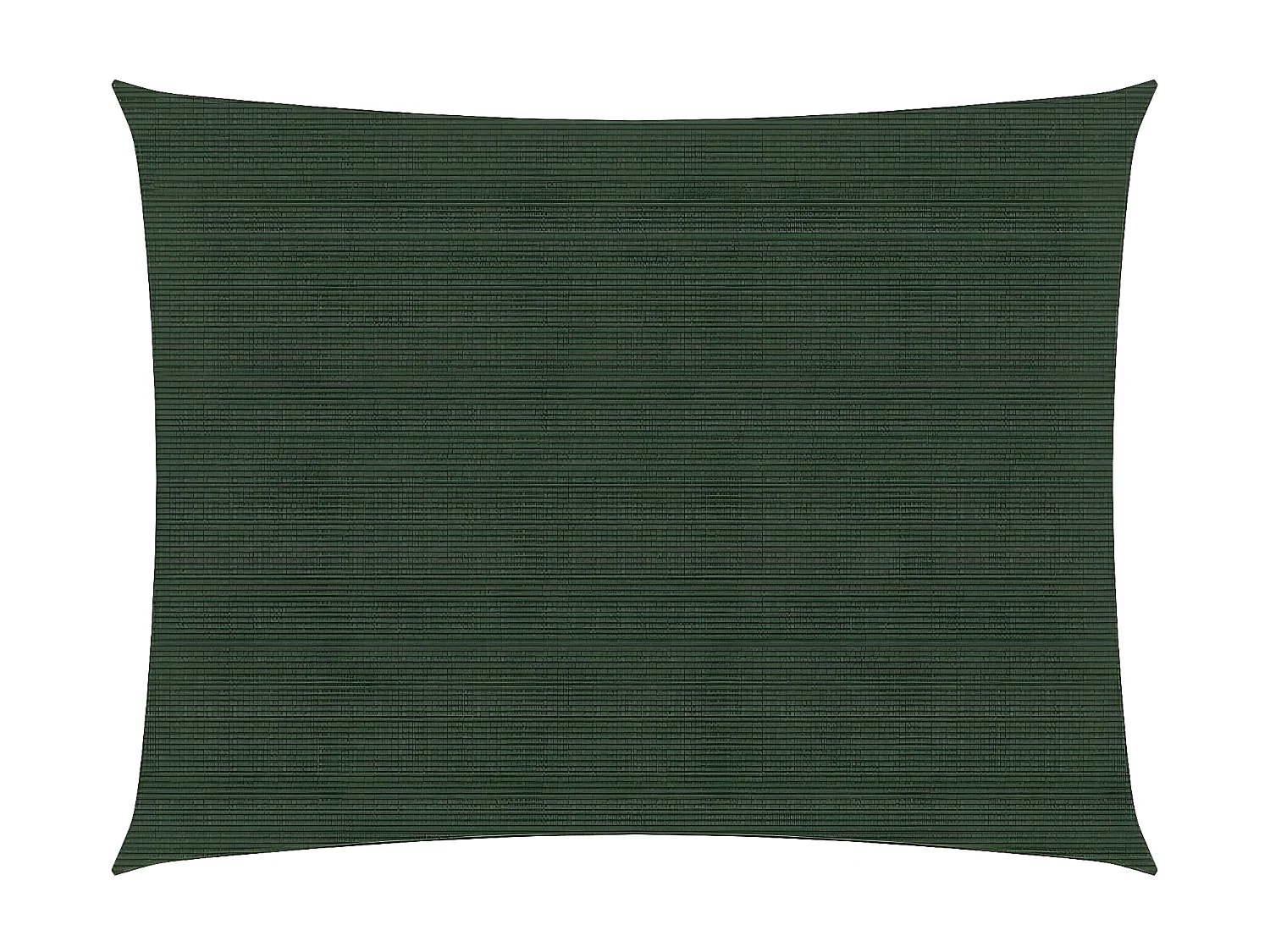 Voile d'ombrage 160 g-m² Vert foncé 2x3 m PEHD