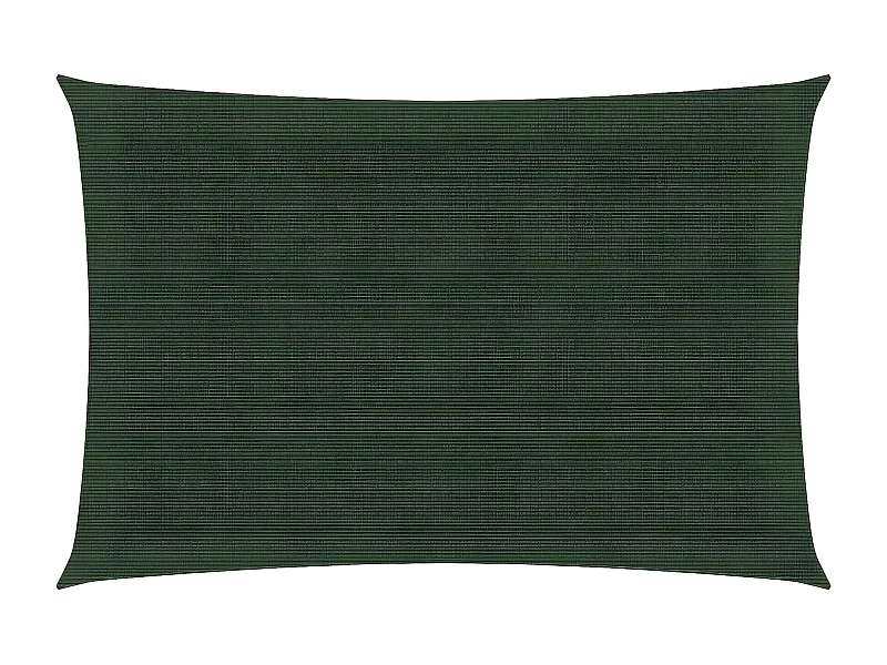Voile d'ombrage 160 g-m² Vert foncé 2,5x4 m PEHD
