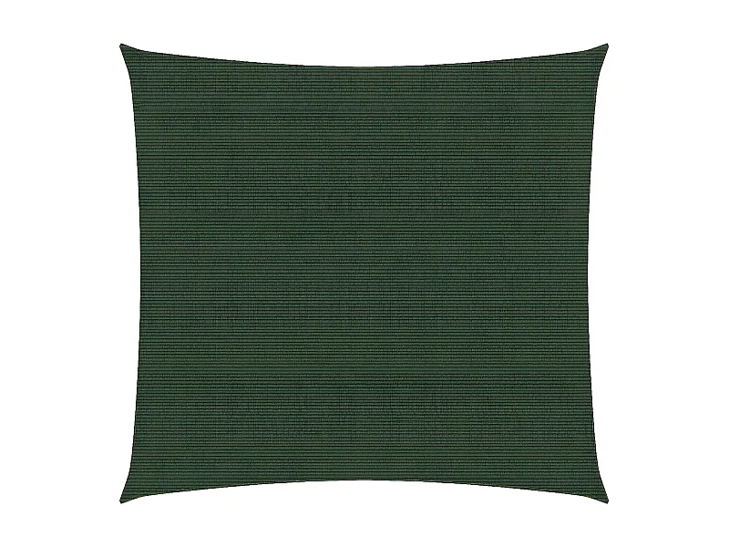 Voile d'ombrage 160 g-m² Vert foncé 2,5x2,5 m PEHD