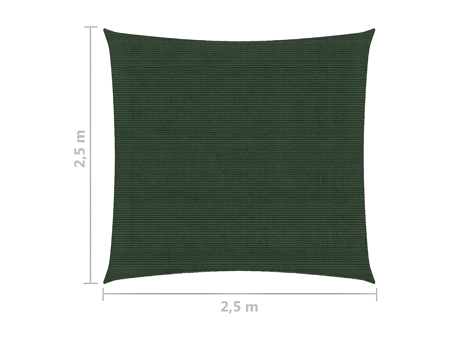 Voile d'ombrage 160 g-m² Vert foncé 2,5x2,5 m PEHD