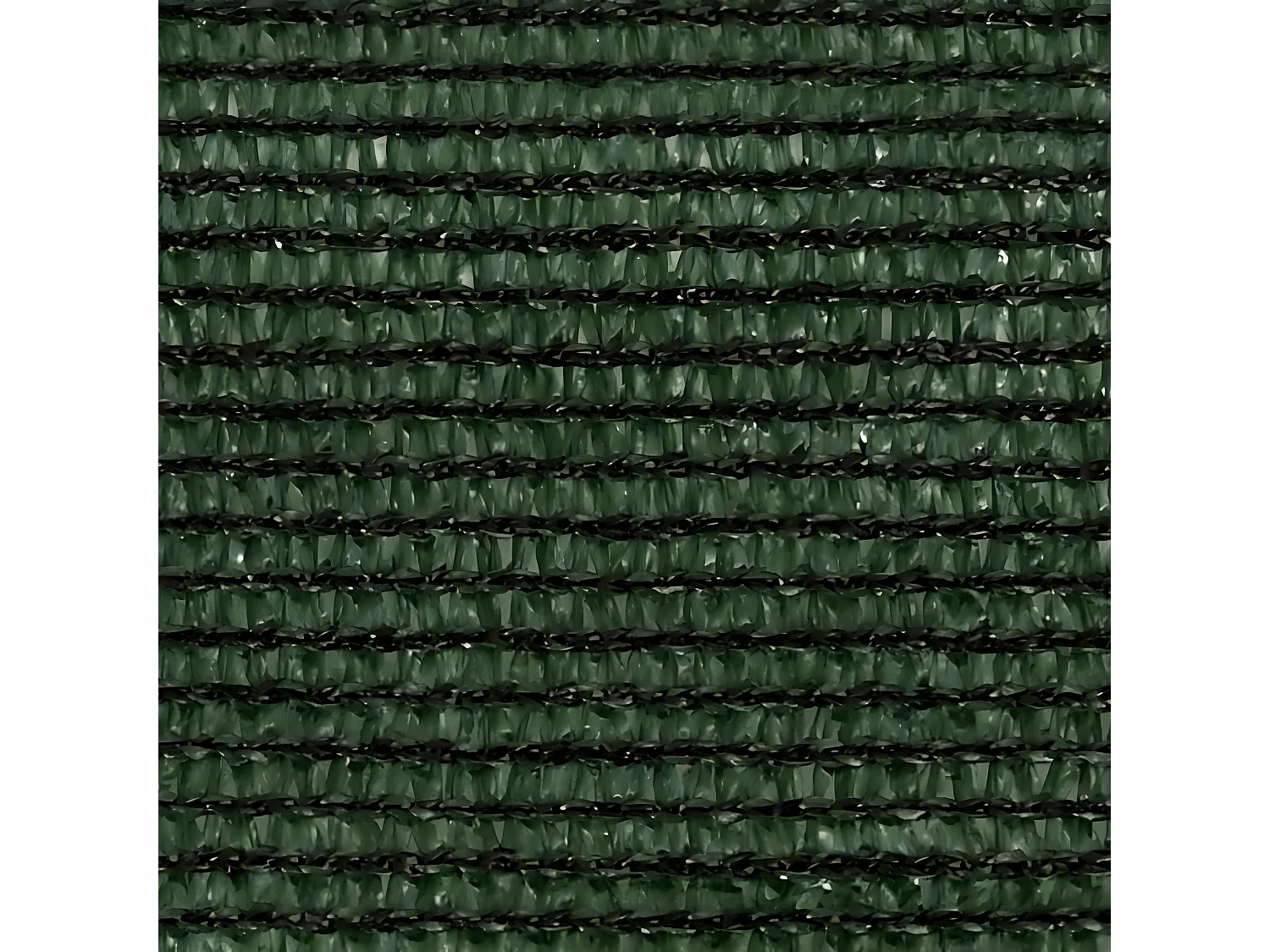 Voile d'ombrage 160 g-m² Vert foncé 2,5x2,5 m PEHD