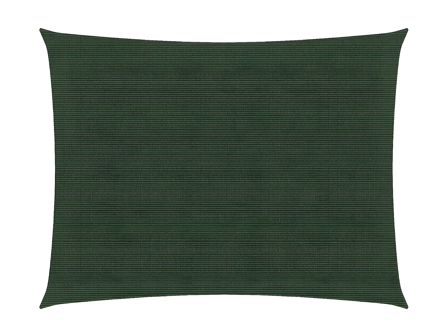 Voile d'ombrage 160 g-m² Vert foncé 2,5x3 m PEHD
