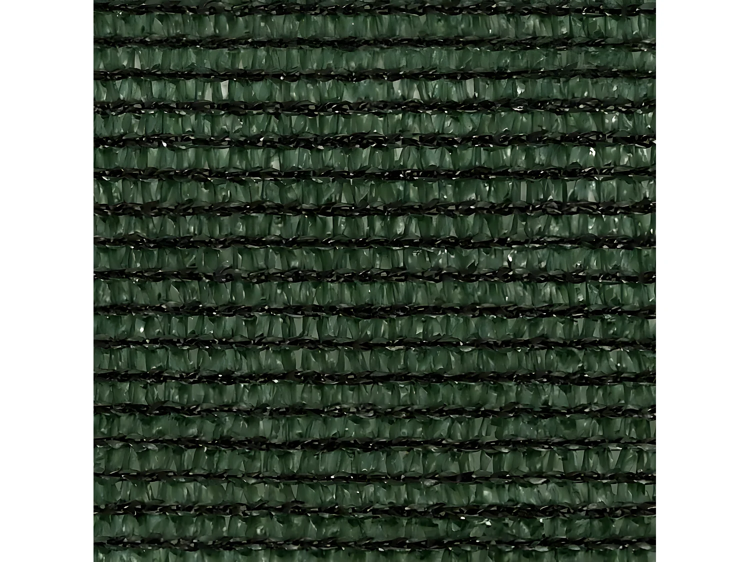 Voile d'ombrage 160 g-m² Vert foncé 3x6 m PEHD